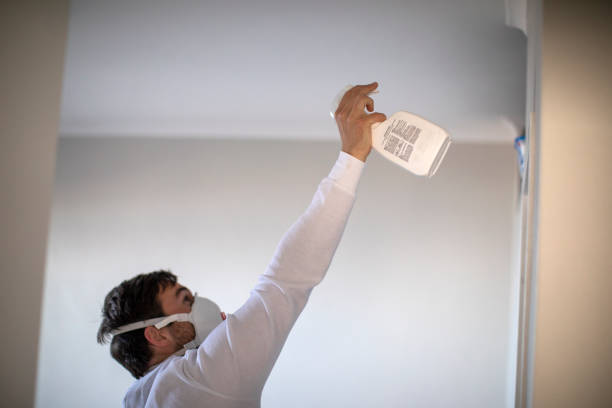 Certified Mold Removal in Walcott, IA
