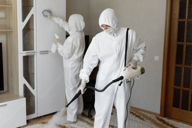 Best Emergency Mold Removal  in Walcott, IA