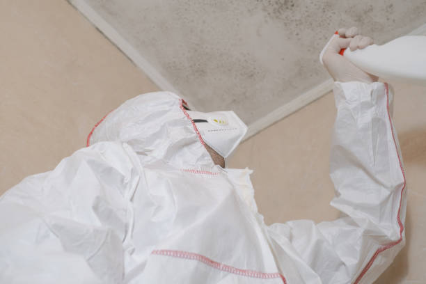 Best Attic Mold Removal  in Walcott, IA